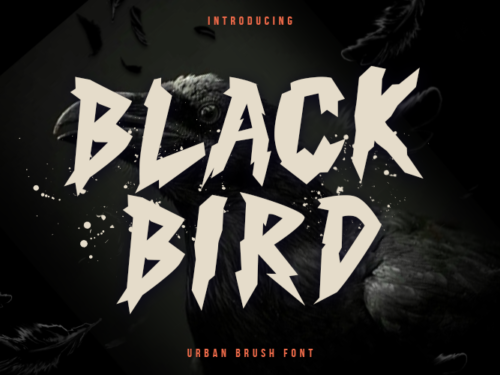 Black Bird