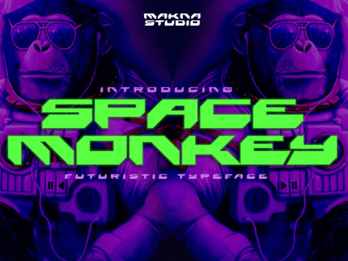 SPACE MONKEY