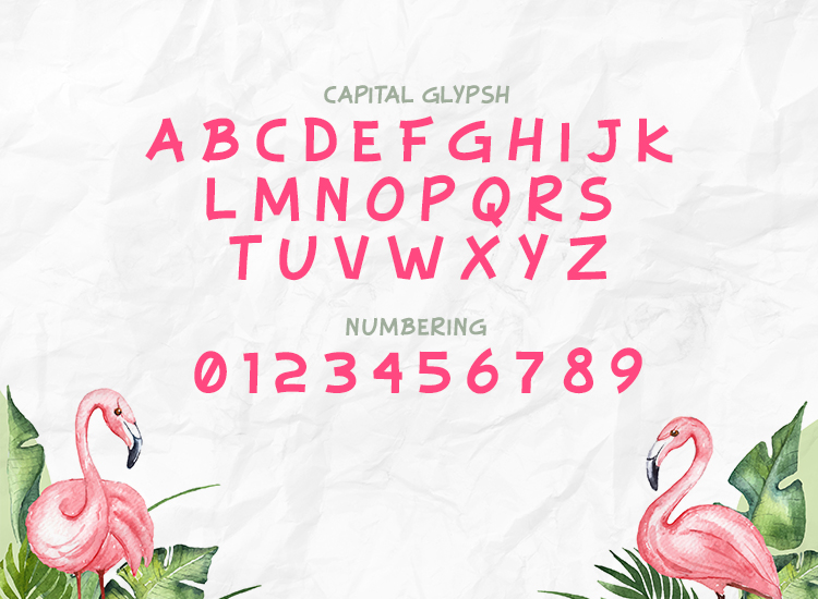 Flamingo - Image 2