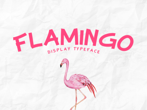 Flamingo